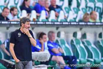 'Van Bommel wordt nieuwe coach van Antwerp, maar... Nederlander solliciteerde wel zelf bij Genk'