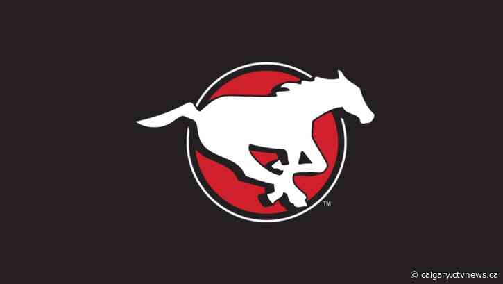 Calgary Stampeders suspend receiver Brendan Langley following airport brawl