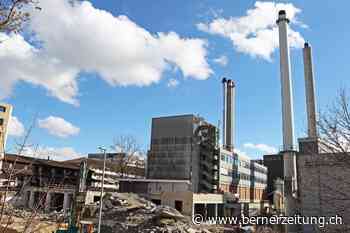 Architekturkolumne «Baustelle» – Was ist denn eigentlich grüne Architektur? - Berner Zeitung