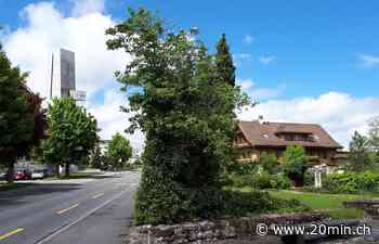 Trauer in Oberkirch LU – Brüder fallen in Gülleloch und sterben – Gemeinde ist «bestürzt» - 20 Minuten