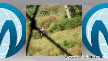 Moradores flagram homem praticando atos obscenos próximo a residencial em Juazeiro do Norte - Site Miséria