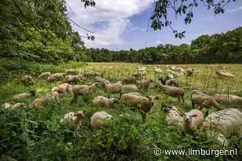 Starttijden Pinksterwandeling Mechelen - De Limburger
