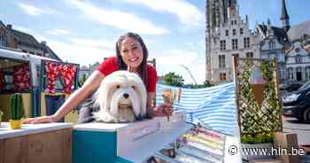 Nieuwe reeks Samson & Marie deels opgenomen op Grote Markt - Het Laatste Nieuws
