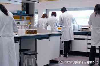 Università, 14 dipartimenti in corsa per i fondi Anvur - Qui News Pisa