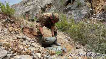 Ordigno bellico ritrovato nel cantiere dell'aeroporto di Pisa - PisaToday