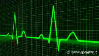 Il cuore, non il cervello, si emoziona: lo studio tra Pisa, Padova e la California - gonews