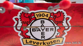 Bayer Leverkusen: Die besten 50 Spieler aller Zeiten - Bundesliga - Bild.de - BILD