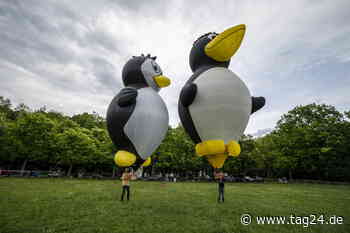 Chemnitz: Ballons wollen endlich steigen - TAG24