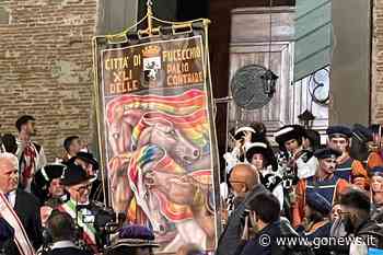 M5S Fucecchio: "Nel Cencio mostrata la sofferenza dei cavalli del Palio" - gonews