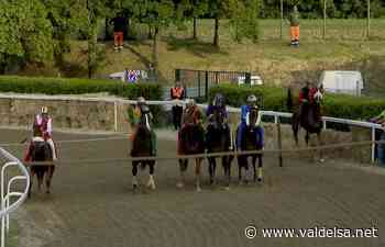 Palio di Fucecchio, le sfilate e le corse dei cavalli - Valdelsa.net