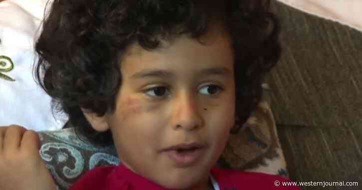Dogs Attack Boy on Way to School Bus, Owner Refuses to Turn Them Over: 'Tell the Family I'm Sorry'