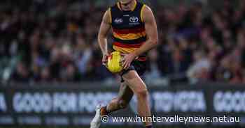 Crows clear injured Dawson for AFL game - Hunter Valley News