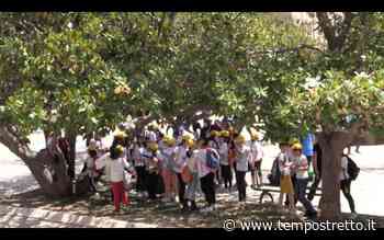 Messina. L’istituto “Manzoni – Dina e Clarenza” scende in piazza per l’ambiente - Tempo Stretto