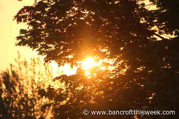 Weathering the storm | Bancroft this Week - Bancroft This Week