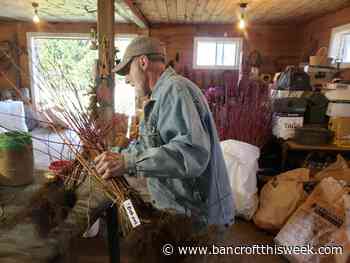 More trees and shrubs in the ground | Bancroft this Week - Bancroft This Week