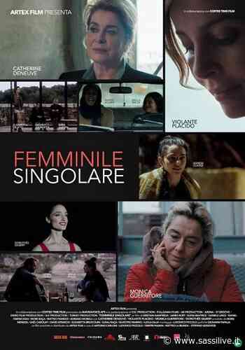 Film "Femminile singolare" al cinema Il Piccolo di Matera, AIDE celebra la Convenzione di Istambul - Sassilive.it