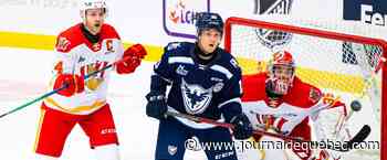 Roy, Guhle et les autres espoirs du CH