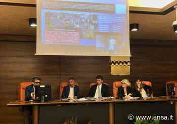 Zes: 50 mln per le aree industriali di Tito e Matera - Basilicata - Agenzia ANSA