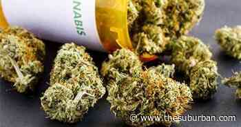 Medical Marijuana May Offer Safe Pain Relief for Cancer Patients - The Suburban Newspaper