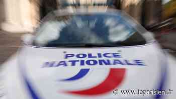 Sceaux : deux arracheurs de collier en garde à vue - Le Parisien