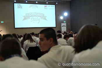 Cooking quiz, l'Alberghiero di Termoli nella top20 della finalissima nazionale - Il Quotidiano del Molse