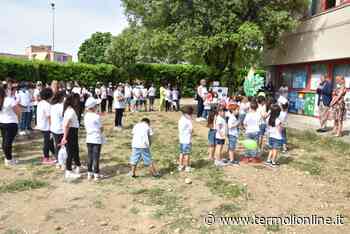 I valori della legalità alla base dell'educazione civica e della formazione - Termoli Online
