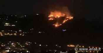 Incendi: fiamme a Monreale, minacciate abitazioni - Agenzia ANSA