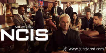 CBS Exec Explains Why Mark Harmon Is Still In 'NCIS' Opening Credits - Just Jared