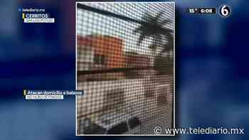 Atacan domicilio a balazos en Cerritos, San Luis Potosí - Telediario CDMX