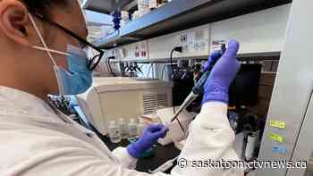 Saskatoon COVID-19: Viral material in wastewater up nearly 21% | CTV News - CTV News Saskatoon