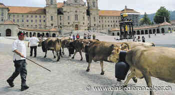 41'000 Tiere auf 400 Alpen – Einsiedler Anzeiger - http://www.einsiedleranzeiger.ch/