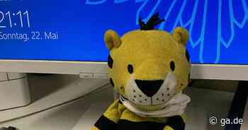 „Kleiner Tiger“ auf B9 gefunden​: Polizei Bonn hat Besitzer gefunden - General-Anzeiger Bonn