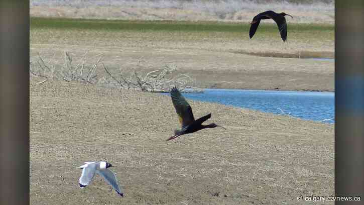Stormy skies expected to clear Wednesday morning