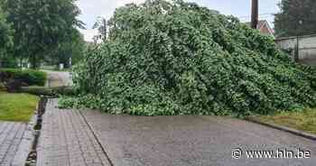 Zwaar onweer richt ernstige schade aan in Lille - Het Laatste Nieuws