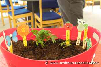 Swift Current youth experience the joys of gardening - SwiftCurrentOnline.com
