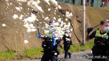 This is the moment Luis was pepper sprayed by police while doing his job. He's now taking legal action