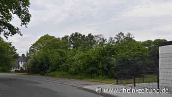 Kastellauner Bürger legen Beschwerde ein: Gericht stoppt vorläufig Bau am Schwarzen Weiher - Rhein-Zeitung