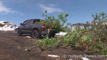 ¿Qué hacer con las ramas y escombros de la tormenta de nieve de mayo?