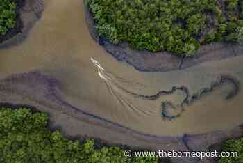 Aids to Navigation, buoy markers installed in rivers for safety, says Lee - The Borneo Post