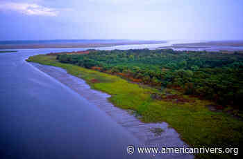 Sea level rise highlights need for wetland protection - American Rivers