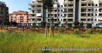 Trani, parchi e terreni incolti: bonifica e pulizia contro gli incendi - La Gazzetta del Mezzogiorno