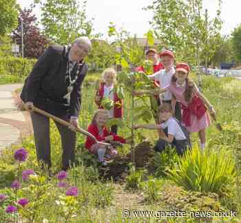 Mayor and pupils plant trees in Frinton to mark queen's platinum jubilee