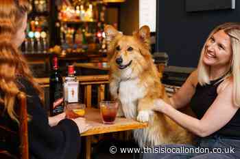 Get Queen’s favourite tipple for free at Greene King pubs