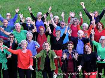 The Voice Collection kommt in die Steinhalle nach Emmendingen - Rock & Pop (TICKET) - Badische Zeitung