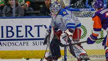 Francois Brassard named first-team All-ECHL goalie for Jacksonville Icemen - The Florida Times-Union
