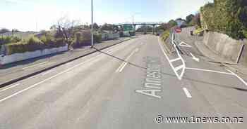 Man did indecent act on Nelson walkway, police investigate - 1News