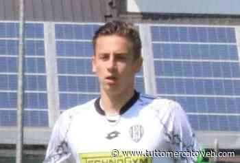 TMW - Gasperi saluta l'Ancona Matelica: non c'è l'accordo per proseguire insieme - TUTTO mercato WEB