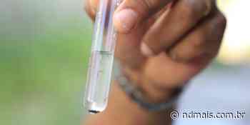 Dengue no Vale: 90% das mortes confirmadas aconteceram em Brusque, aponta Dive - ND Mais