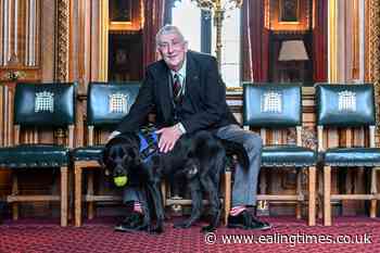 Speaker Hoyle: Trauma support dog would be 'calming influence' on MPs - Ealing Times