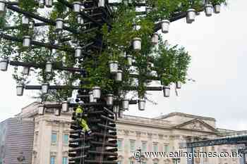 Buckingham Palace sculpture celebrates 'superhero' trees - Ealing Times